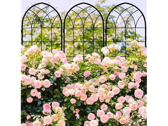 LZRS 4 Pack 71x20in Garden Trellis