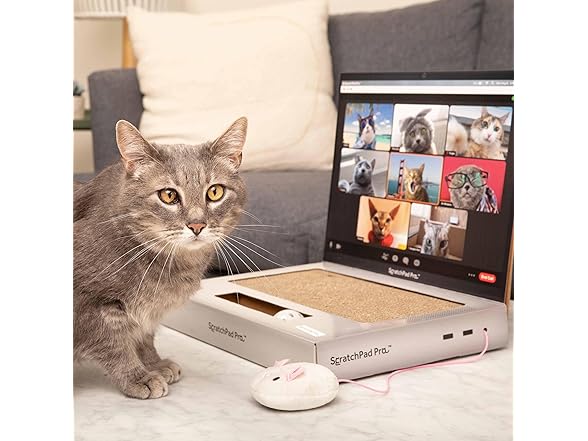 WHAT DO YOU MEME? Laptop Cat Scratcher