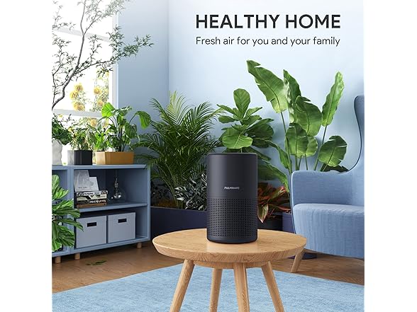 FULMINARE Air Purifier