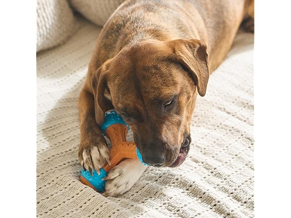 SPOT Bam-Bones PLUS Gigglers Dog Toy