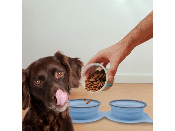 Folding Silicone Pet - Water and Feeding Bowl