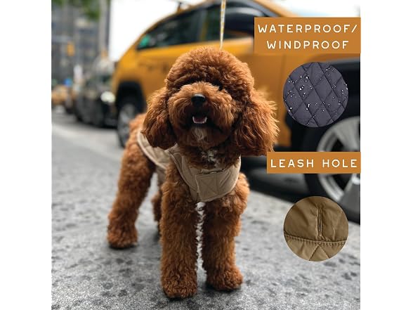 Newbury Waterproof Reversible Warm Dog Winte
