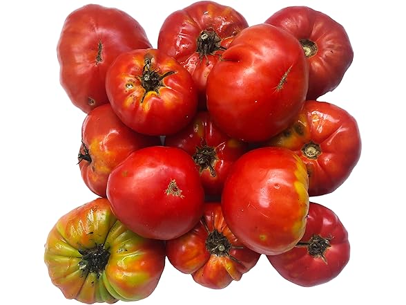 Large Red Heirloom Tomato Seeds 150pc