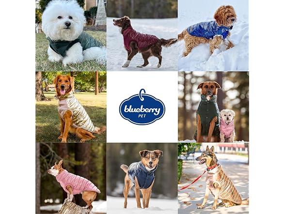 Blueberry Pet Windproof Quilted Winter Jacke
