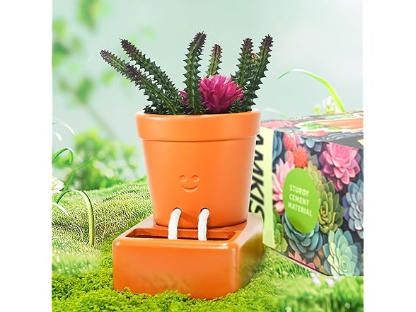 Amkish Self Watering Smiley Face Planter