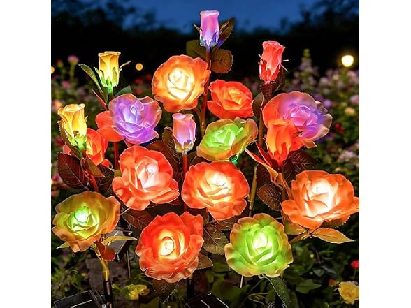 7 Color Rose