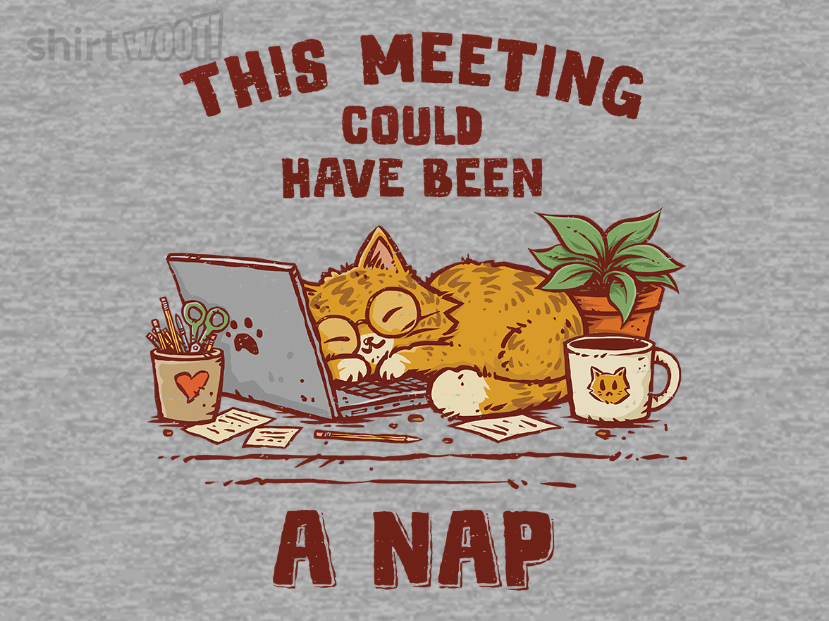 This Meeting Could Have Been A Nap - Gallery 9