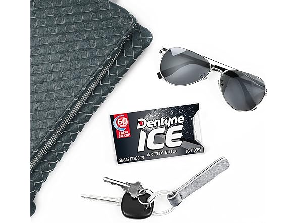 Dentyne Ice Arctic Chill Sugar Free Gum, 9 Packs of 16 Pieces (144 Total Pieces)