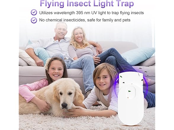 Onsinn  Fly Trap Indoor