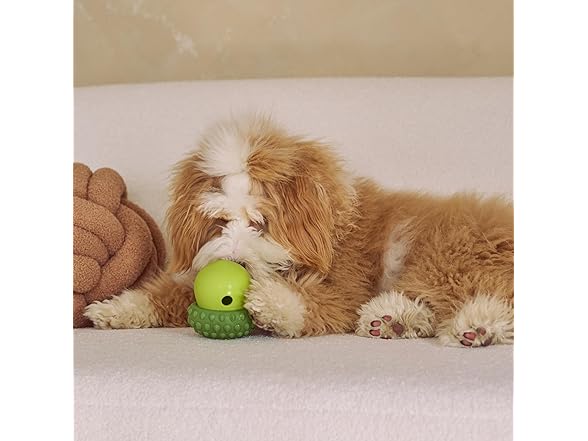 SPOT Treat Tumbler Broccoli – Freezable & Fillable