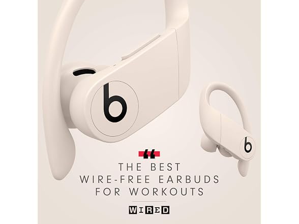 Beats Beats Powerbeats Pro Wireless Earbuds -