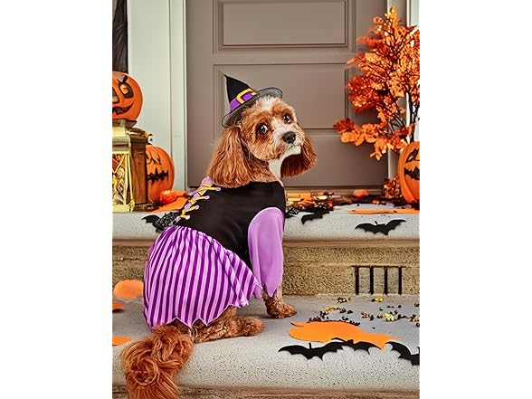 Rubies Witch Pet Costume for Dogs or Cats