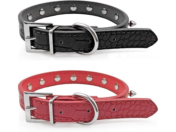 Enjoying Spiky Dog Collar, Spiked Dog Collar