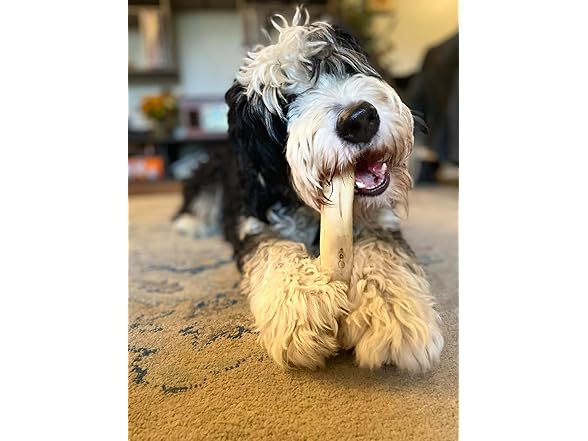 KITA Dog Coffee Wood Dog Chew Toy