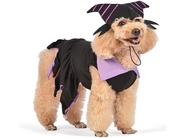Disney for Pets Halloween Disney Villains Maleficent