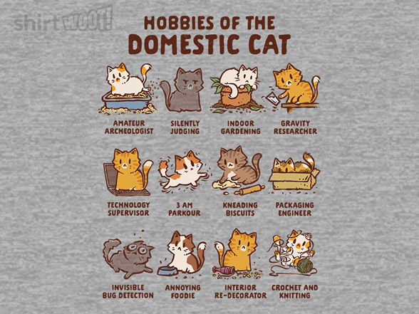 Cat Hobbies