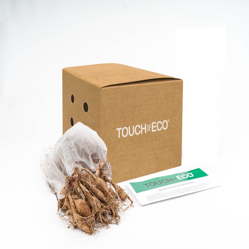 Mixed Columbine - Gallery 10