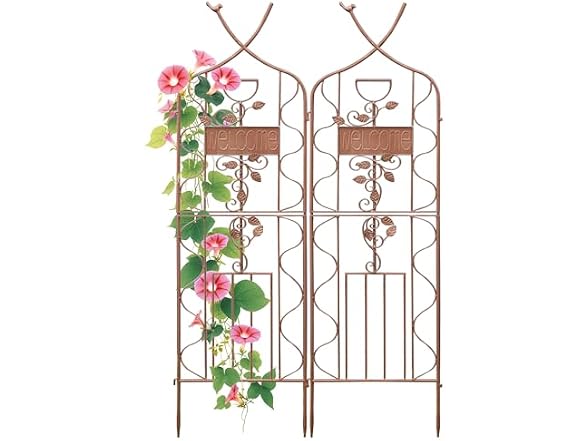 LZRS 2Pk 59.5*18in Rustic Garden Trellis