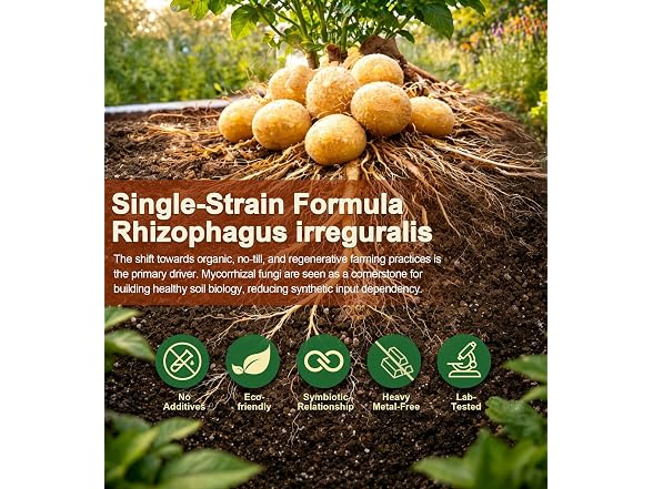 Herdemia Mycorrhizal Fungi