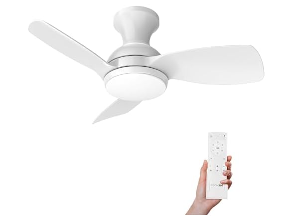 Consciot Ceiling Fan With Lights 30 Inch