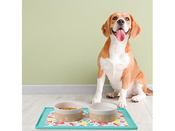 BigMouth Inc Tropical Pet Placemat