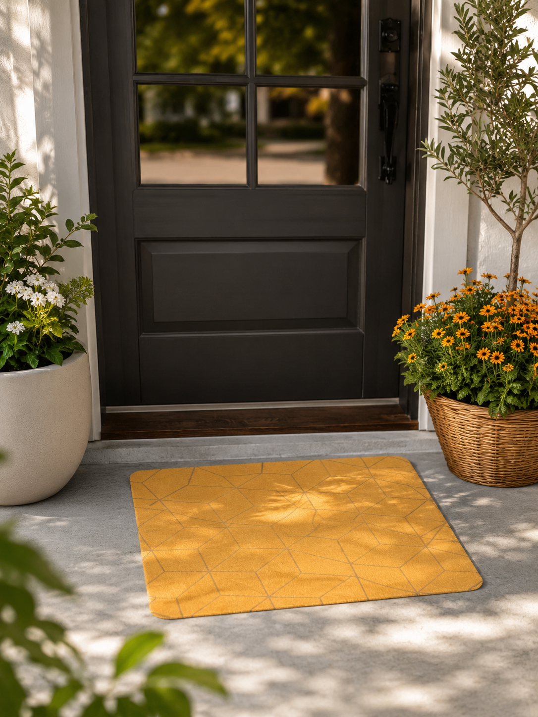 3P Experts Durable Front Door Mat 2Pk, Your Choice - Gallery 18