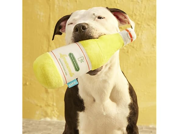 BarkBox Limonsmello Dog Toy - for Large Dogs