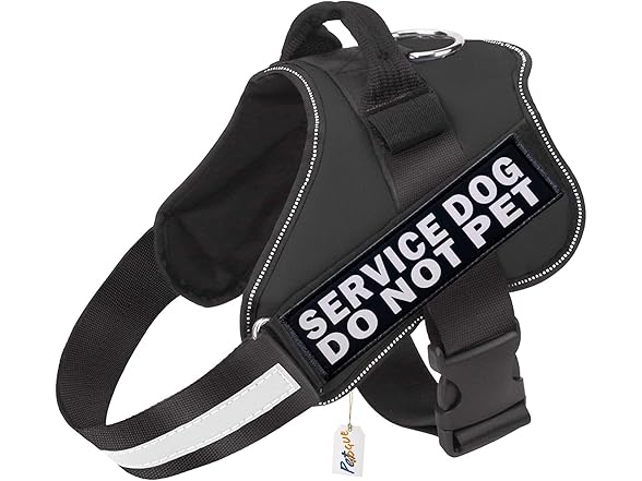 Damorr 2 PCS Service Dog Patch