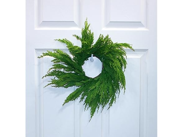 Worth Imports 19" Artificial Christmas Cypress Centerpiece Wreath - Gallery 5