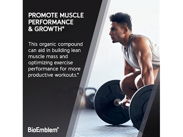 Creatine Monohydrate Powder