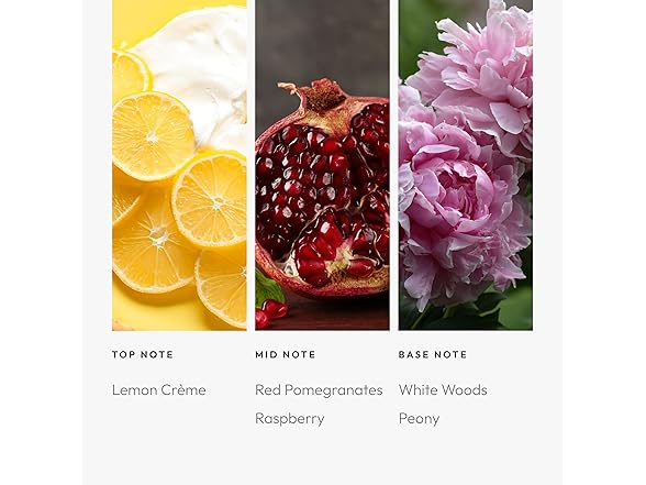 Aroma360 - The Sweetest Taboo Fragrance