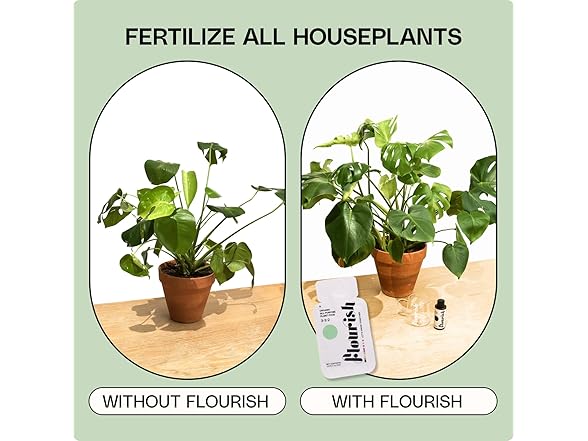 Flourish 10 Individual Single Use Packets