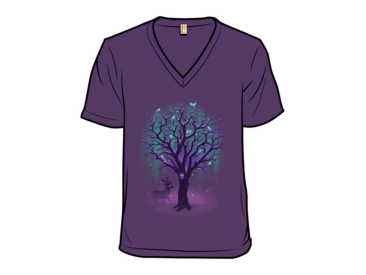 Under Northern Lights - Gallery 7