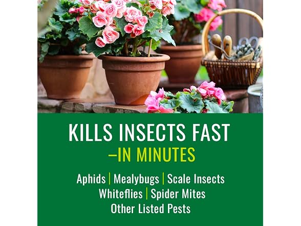 Natria Insect Killer, Ready-to-Use, 24 oz