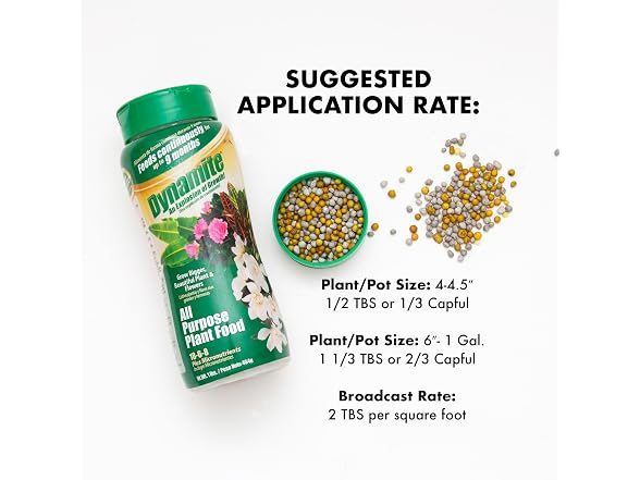 Dynamite All Purpose Plant Food 1-Pound