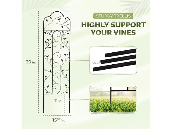 Idzo 60in 5ft 100% Metal Garden Trellises