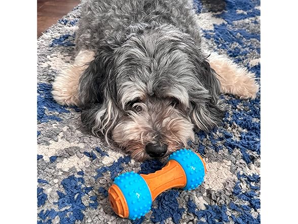 SPOT Bam-Bones Plus Gigglers Dumbbell Durable Dog Chew Toy