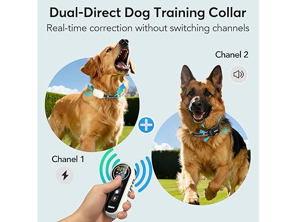 Delupet W0568 Dog Shock Collar 2 Dogs