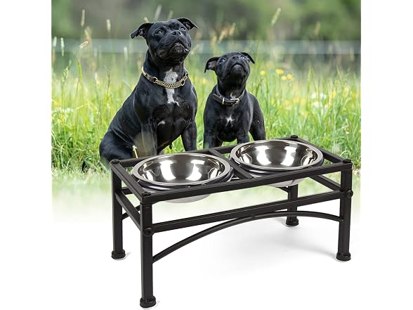 Dazone Elevated Dog Bowls