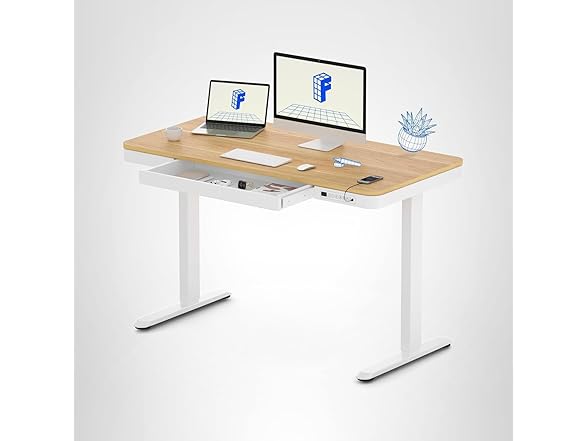 FLEXISPOT Comhar Electric Standing Desk