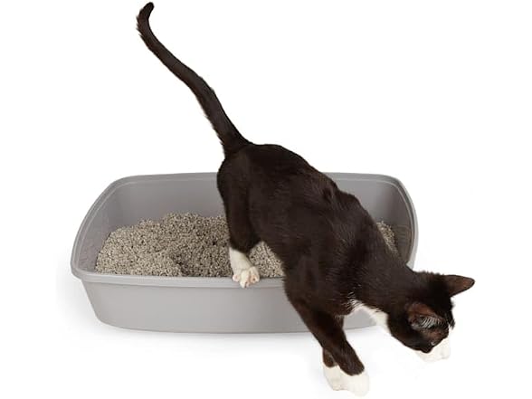 So Phresh by Petco Open Cat Litter Box Grey X