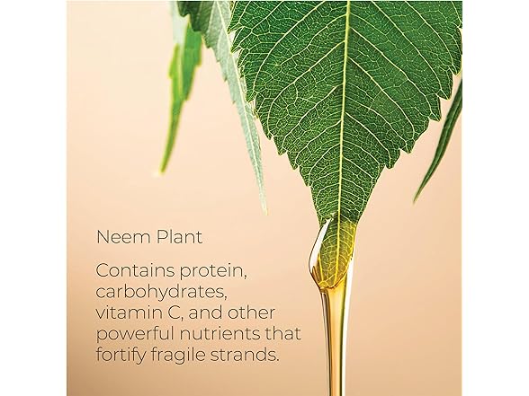L'ANZA Healing Strength Neem Plant Silk Hair Serum