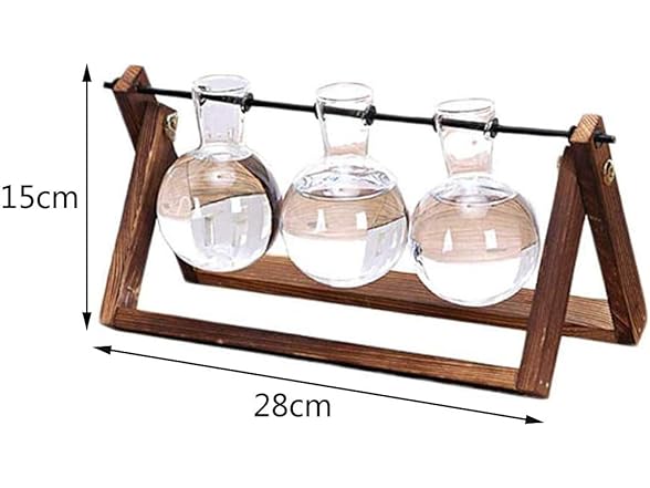 Water Planting Glass Vase w/Wood Stand