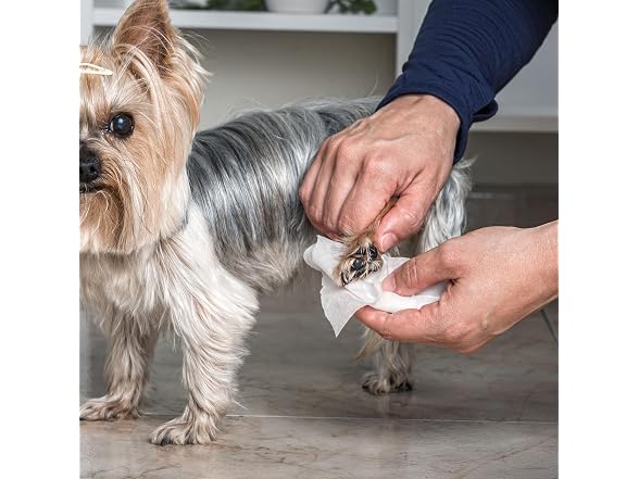 Wahl Refresh Massive Dog Wipes, Lavender Chamomile