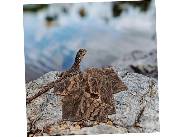 10pcs Lizards Decor Small Hide Fish Reptiles