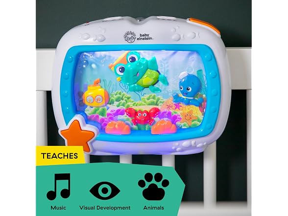 Baby Einstein Baby Einstein Sea Dreams Soother
