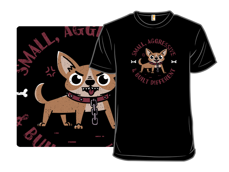 Feral Chihuahua - Gallery 8