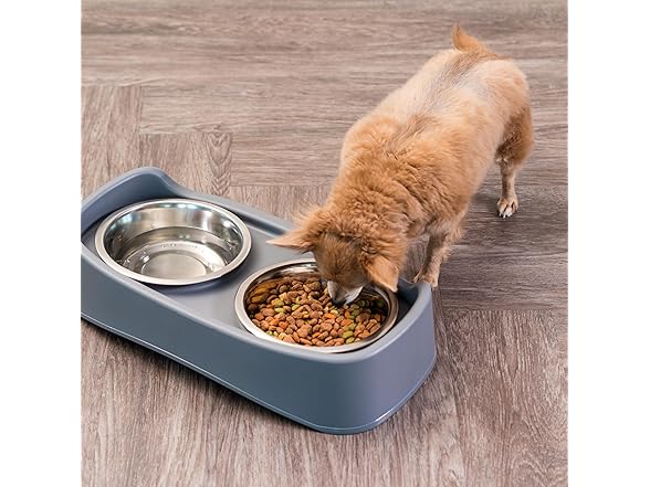 IRIS USA Elevated Dog Bowls Adjustable Stand