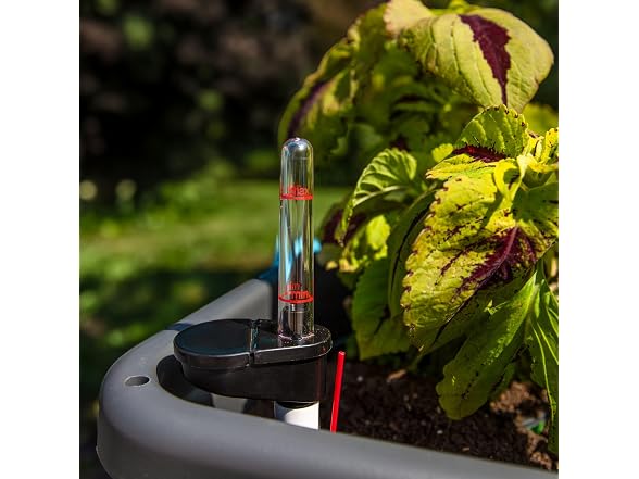 Sunnydaze Self-Watering Raised Garden Bed
