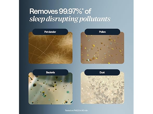 BLUEAIR Purifier & Sunrise Alarm Clock